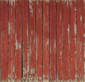 Signs Your Fence Needs Repainting Before the Wood Needs Repair
