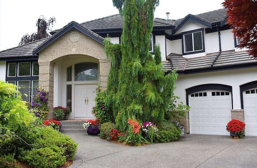 Level 5 Painting photo 2