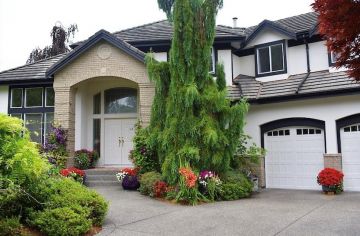 Level 5 Painting photo 5